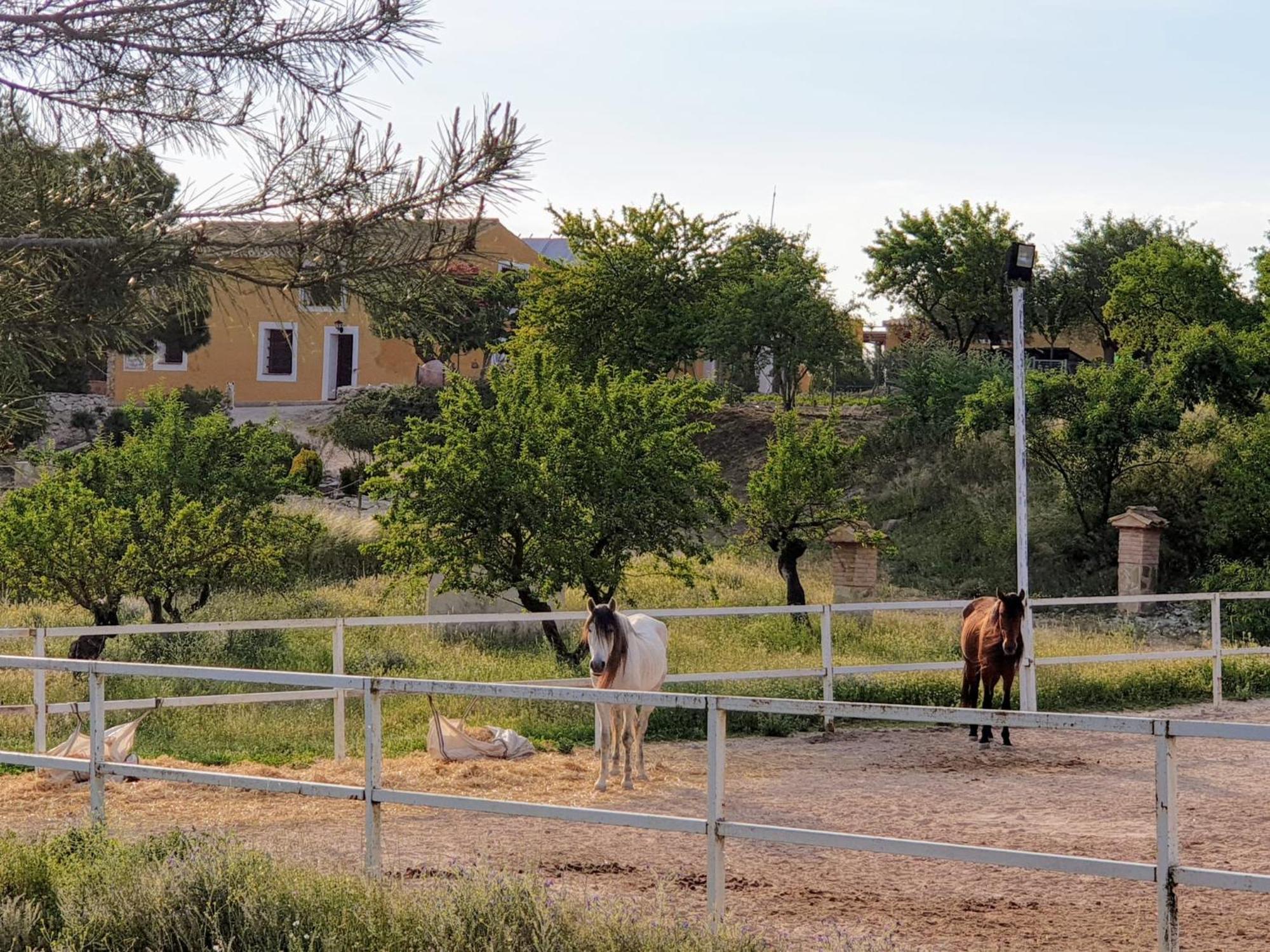 Complejo Rural Las Lomas De Biar Zewnętrze zdjęcie