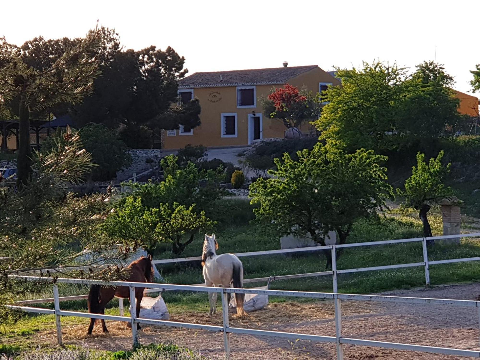 Complejo Rural Las Lomas De Biar Zewnętrze zdjęcie